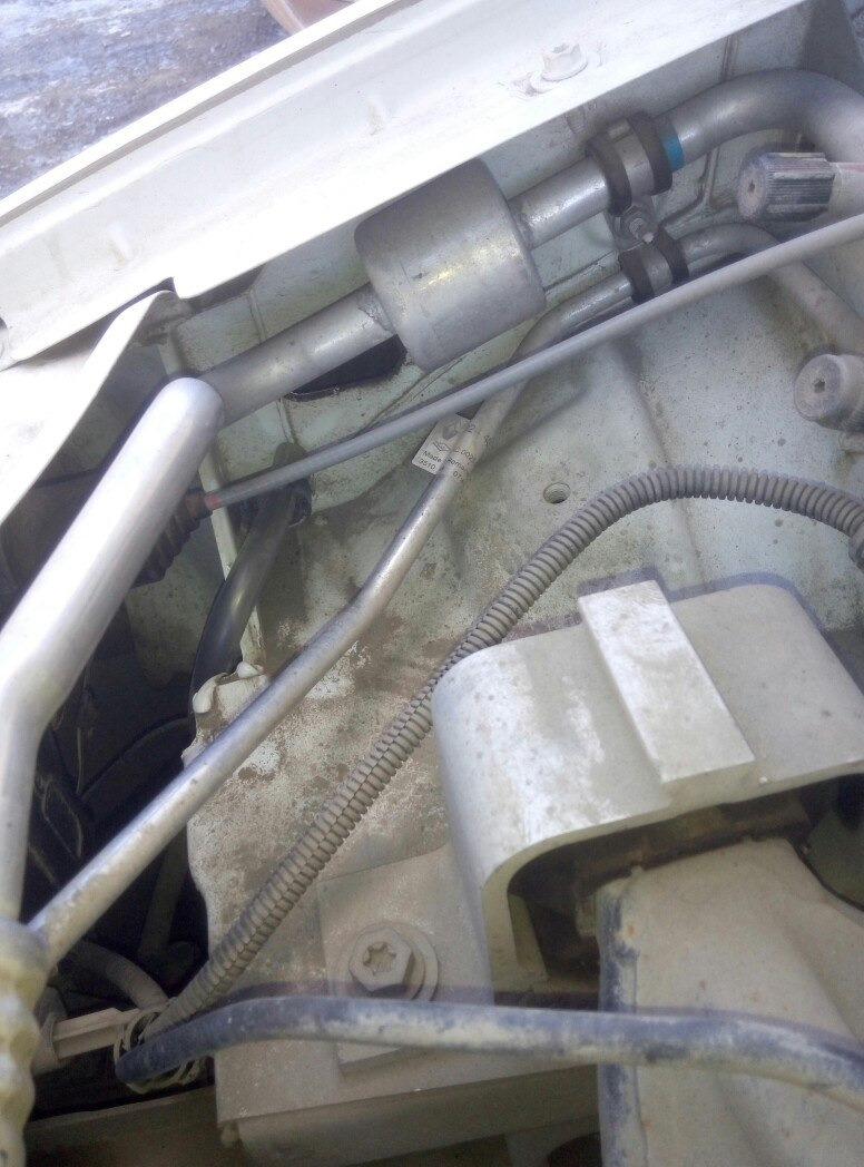 Фото в бортжурнале Lada Largus Фургон