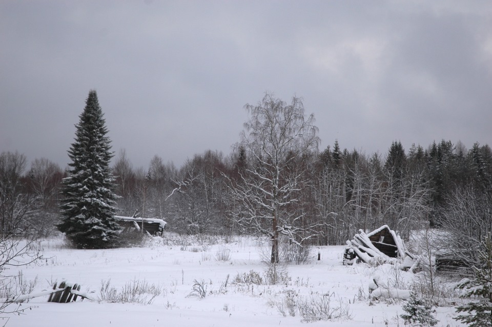 Некогда цветущая деревня полностью прекратила свое существование — УАЗ Patriot