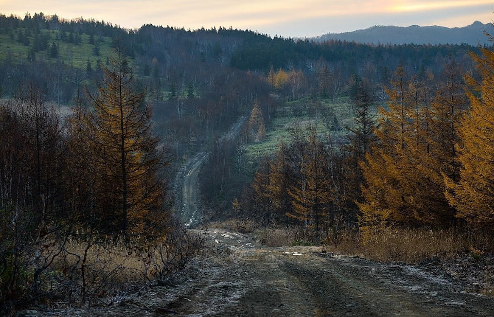 Нулевой отсчет. Сахалин — Севастополь. — Honda CR-V (RD1, RD2), 2 л ...