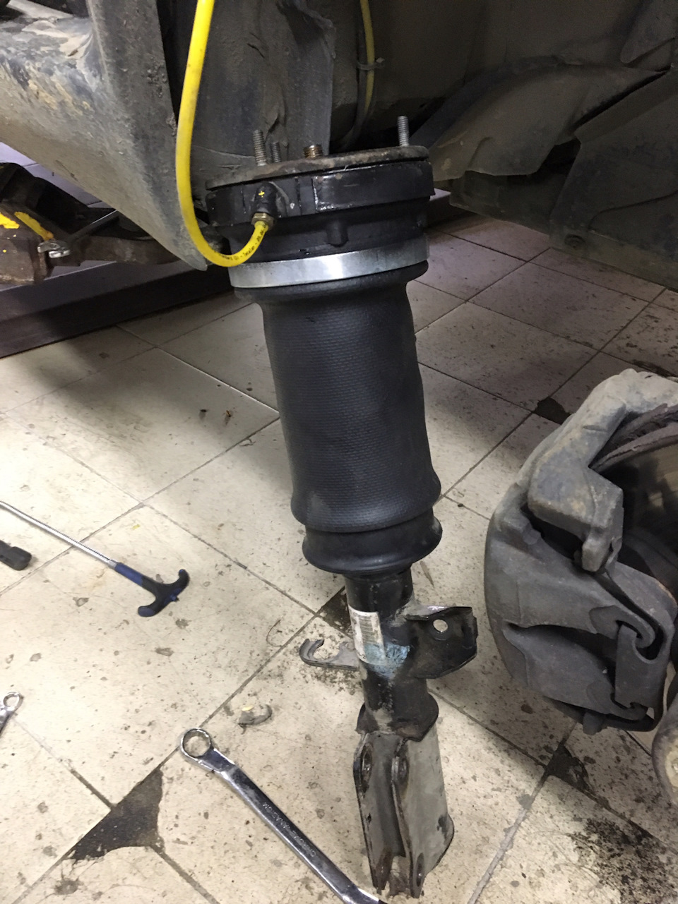 Фото в бортжурнале BMW X5 (E53)