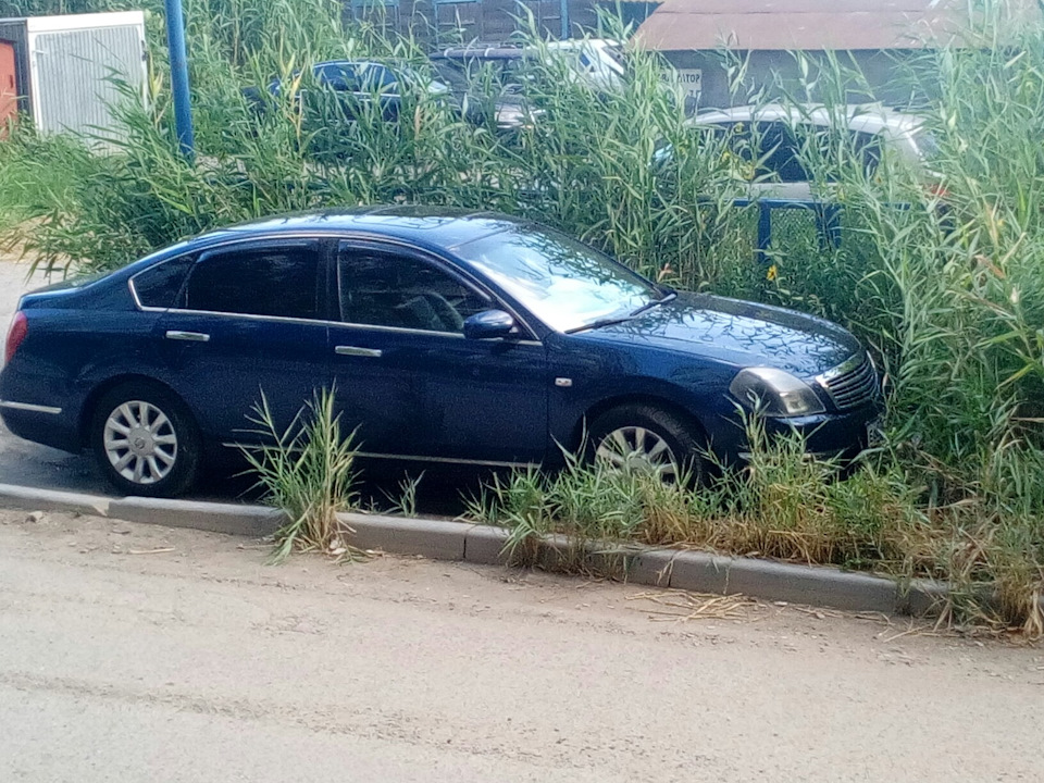 Крепления бампера — Nissan Teana (J31), 2,3 л, 2007 года | кузовной ...