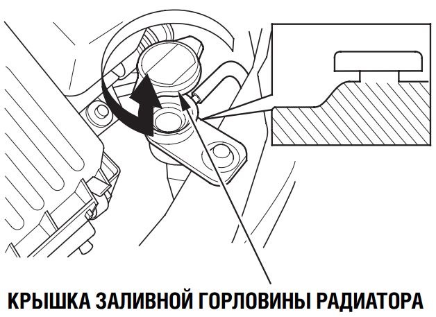 Охлаждающая жидкость honda fit. Сливная крышка антифриза Хонда фит. Как заменить антифриз Хонда Jazz. Слив антифриза Хонда фит. Охлаждающая жидкость Хонда джаз.