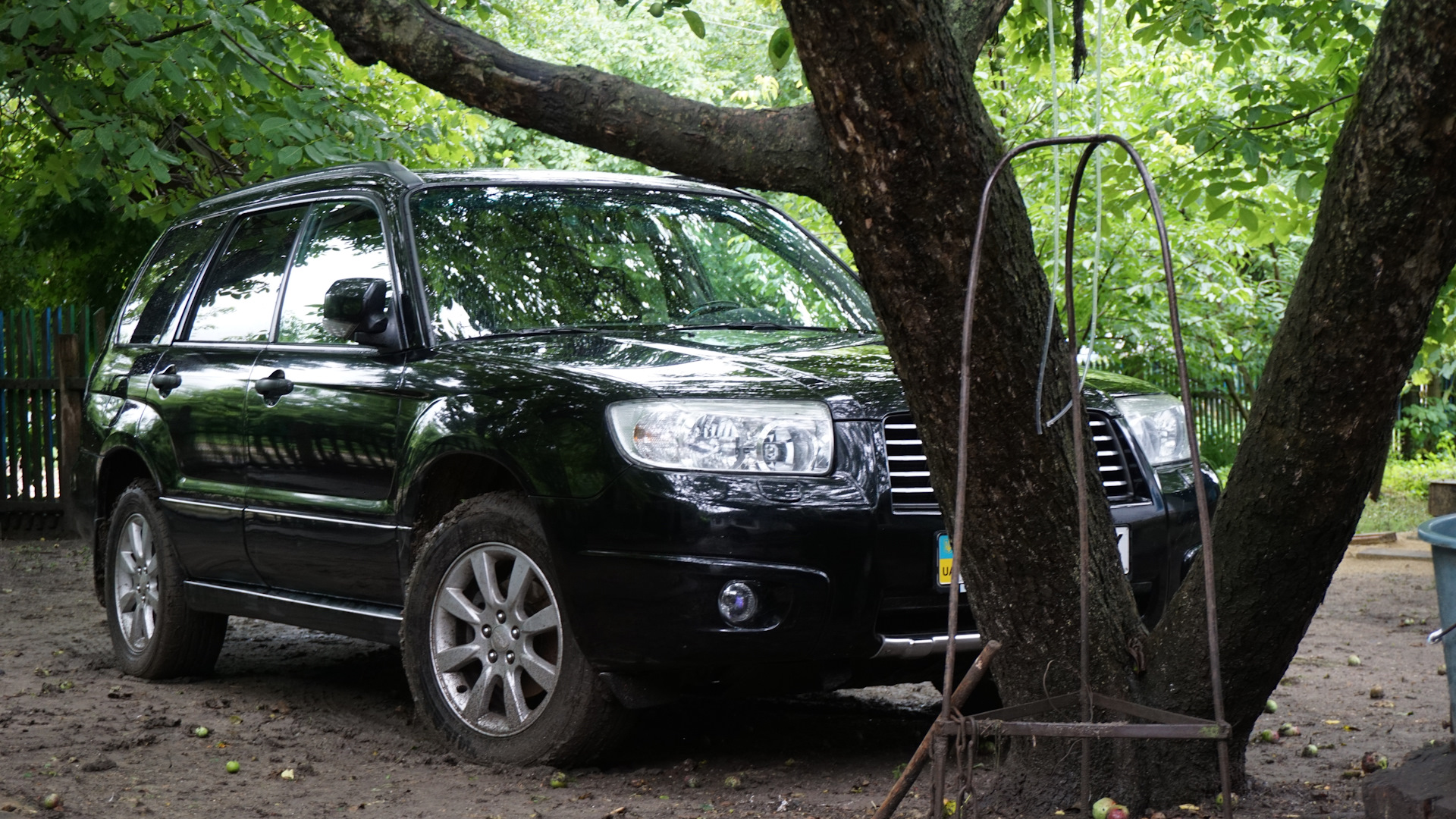 Forester s11. Subaru b11s (by fuore design). Subaru forester sg. Subaru s11. Subaru forester s11 grene.