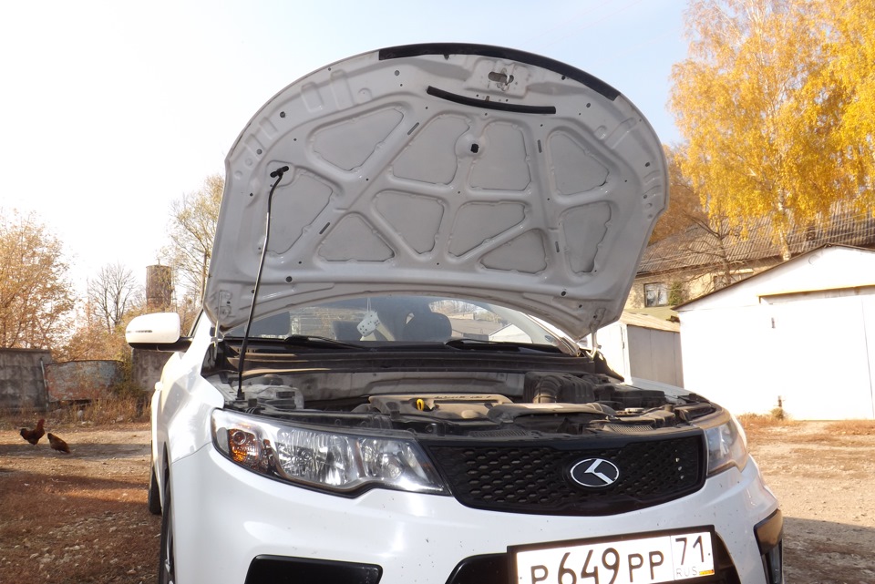 Утеплитель капота — KIA Cerato Koup (1G), 1,6 л, 2011 года | аксессуары ...