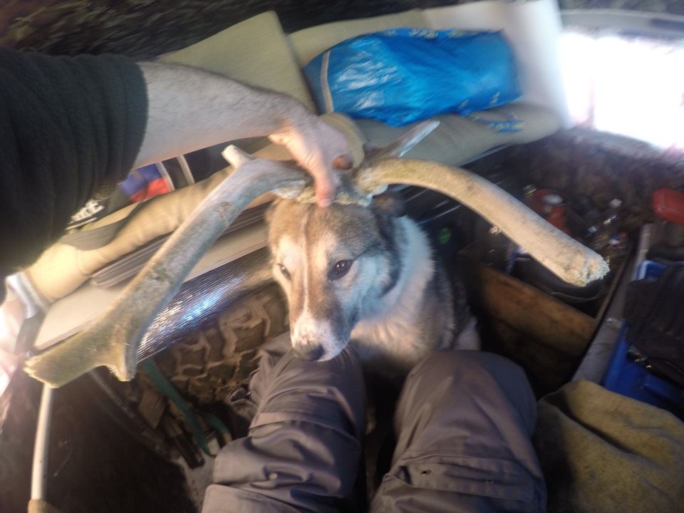 Фото в бортжурнале УАЗ 39095