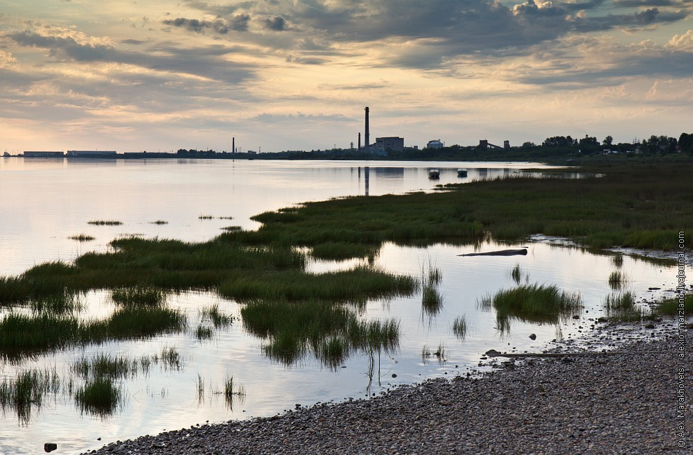 Беловское море фото