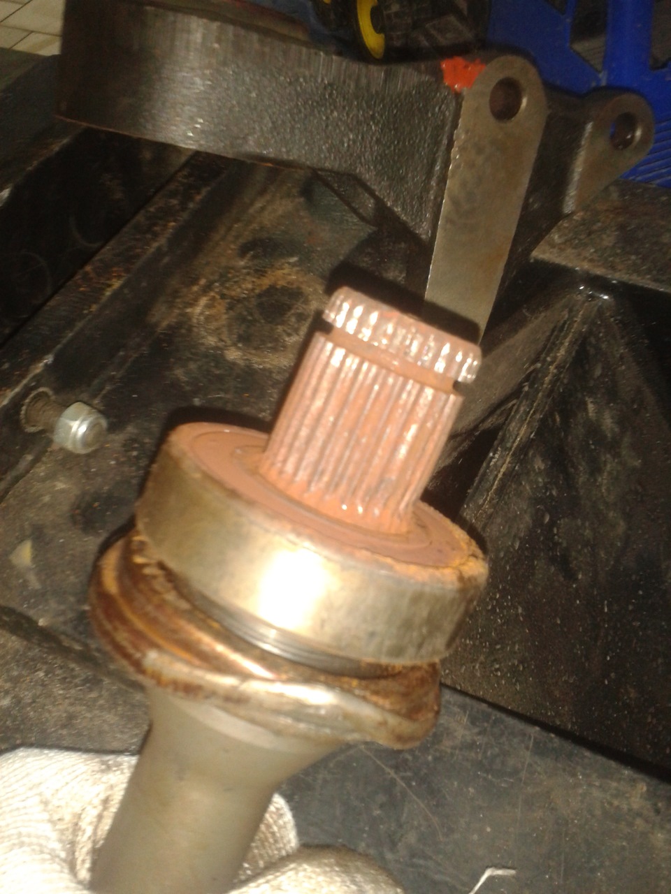 Фото в бортжурнале KIA Spectra