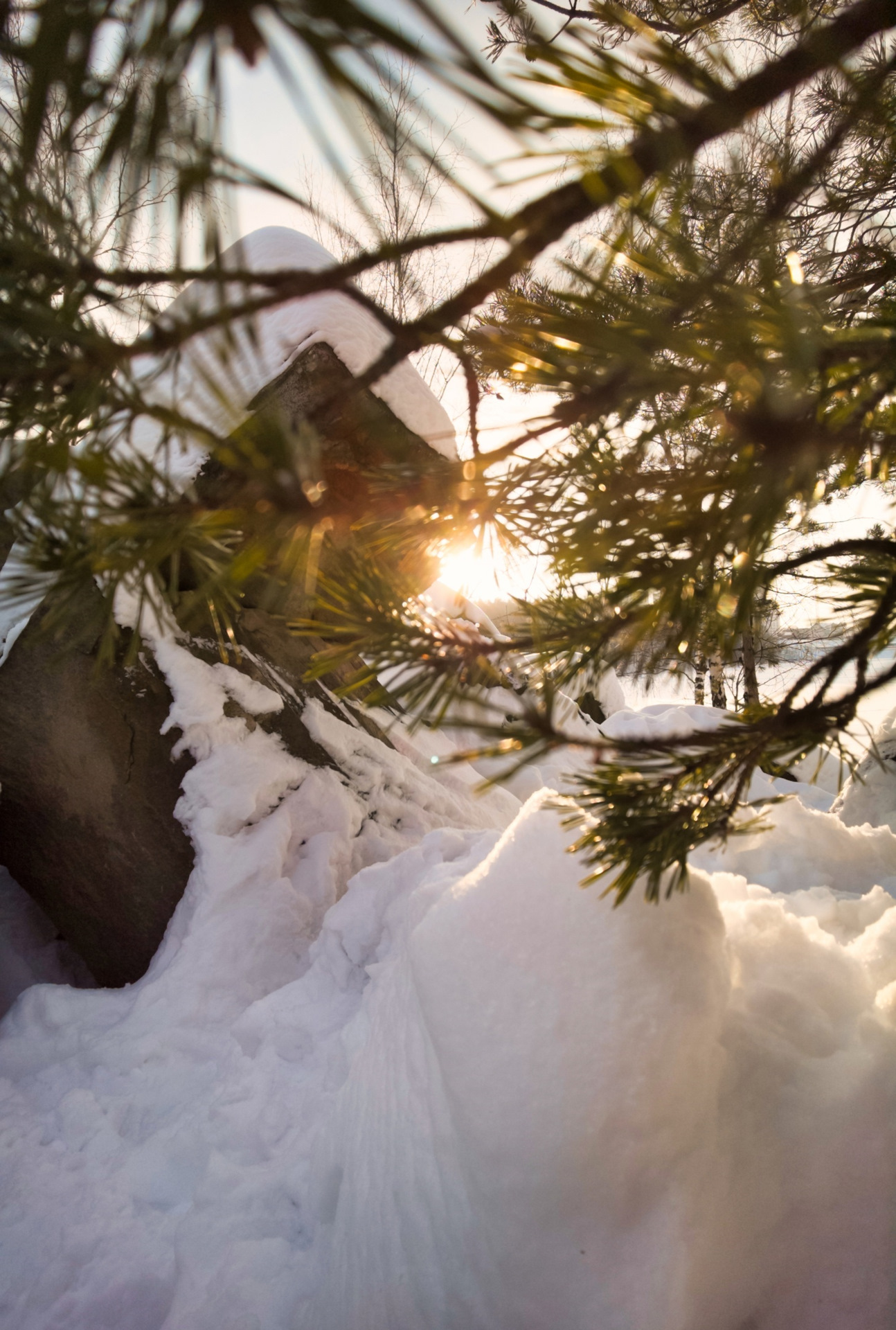 Не видевшие нашей зимы. Зима фото на телефон. Дзержинский карьер крещение. Карьер зимой. Канск. Снег, солнце, блики, деревья.