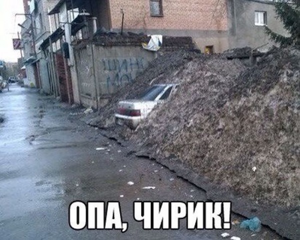 Скачай это бесплатное Фото на тему Макс чирик и открой
