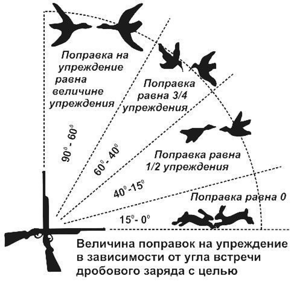 Схема стрельбы по гусю