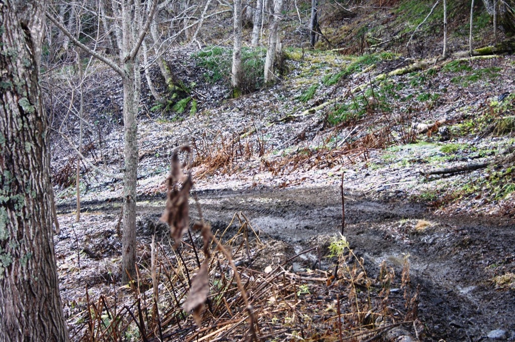 Фото в бортжурнале Nissan Safari (Y60)