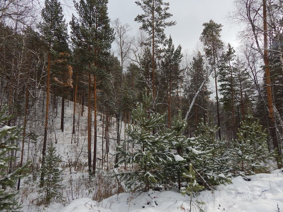 Фото в бортжурнале KIA Sportage (1G)