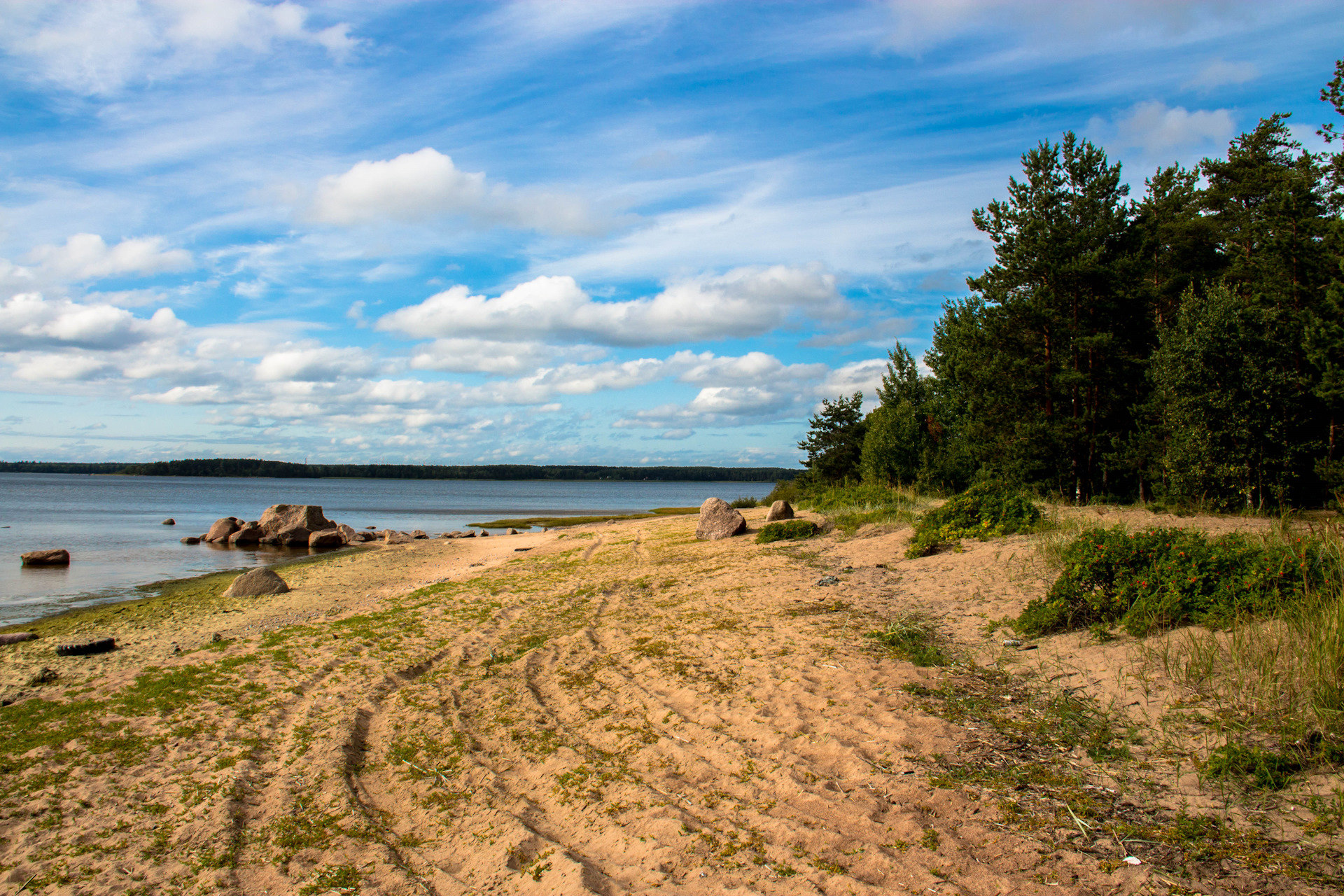 Тарховка финский залив