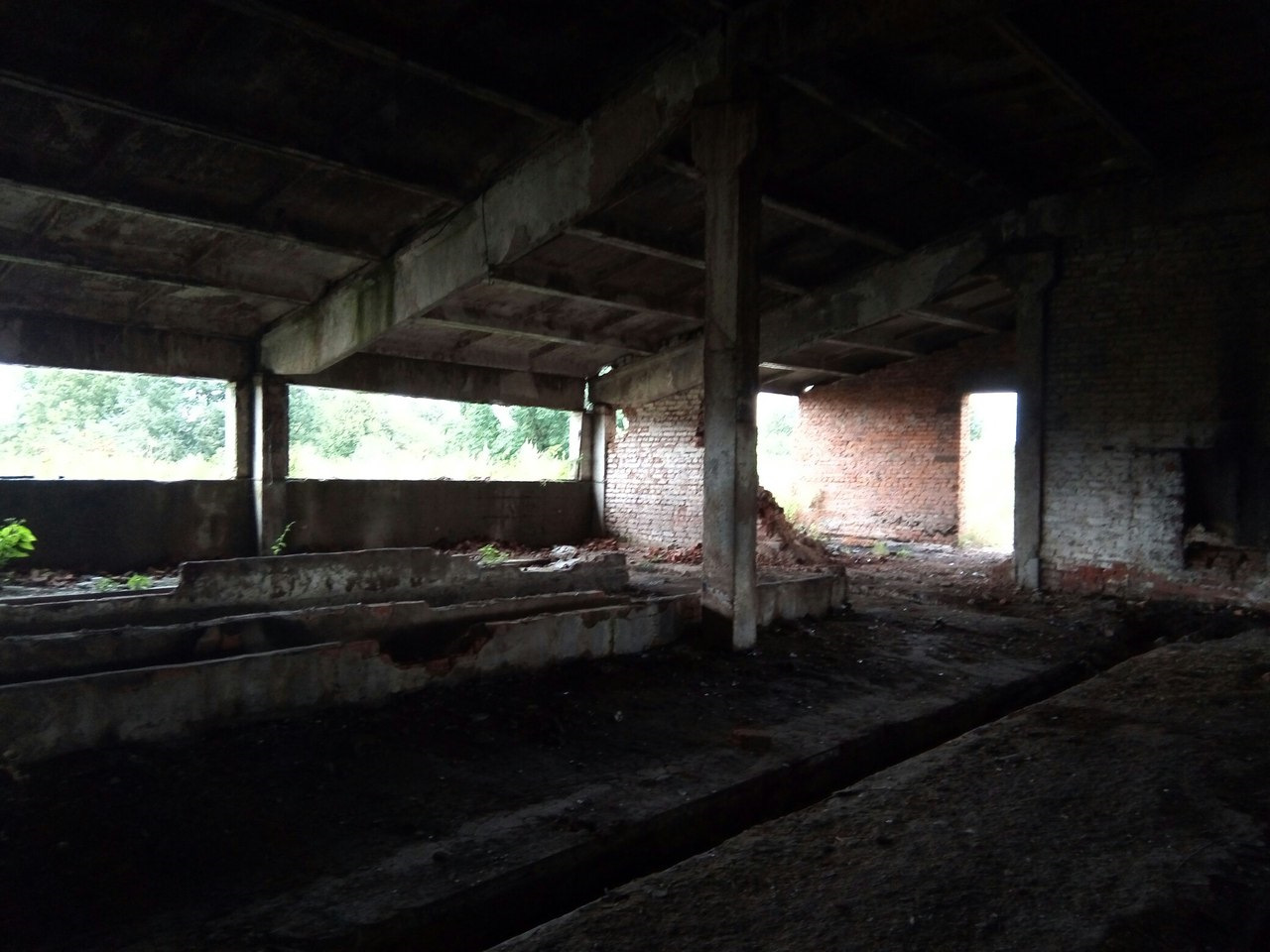 Заброшенный колхоз карта