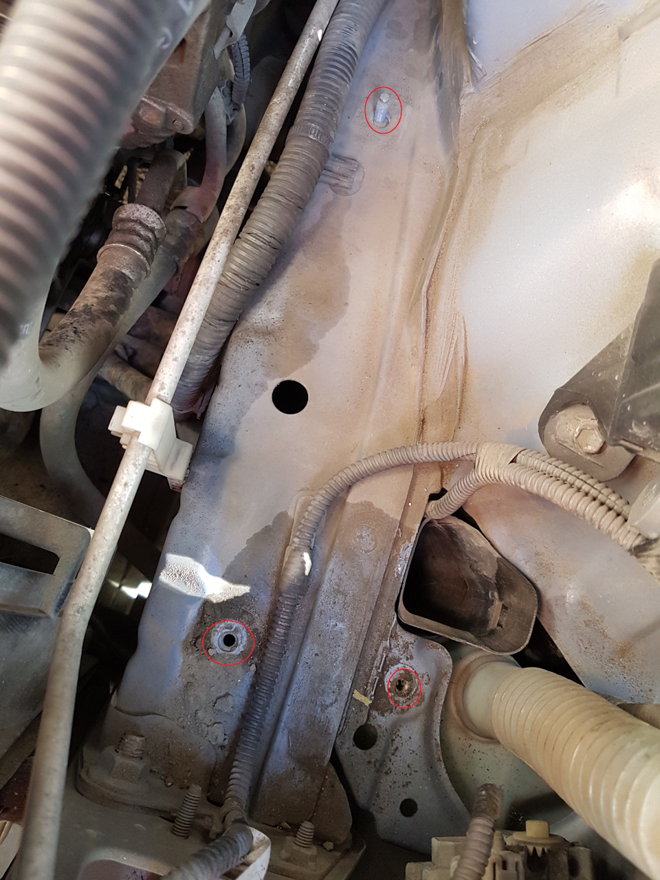 Фото в бортжурнале Toyota Mark X (GRX120)