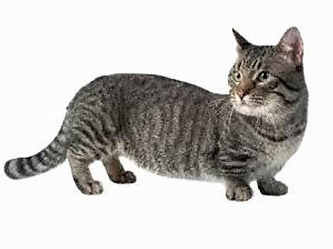 68965du 960 дропнуть машину что значит