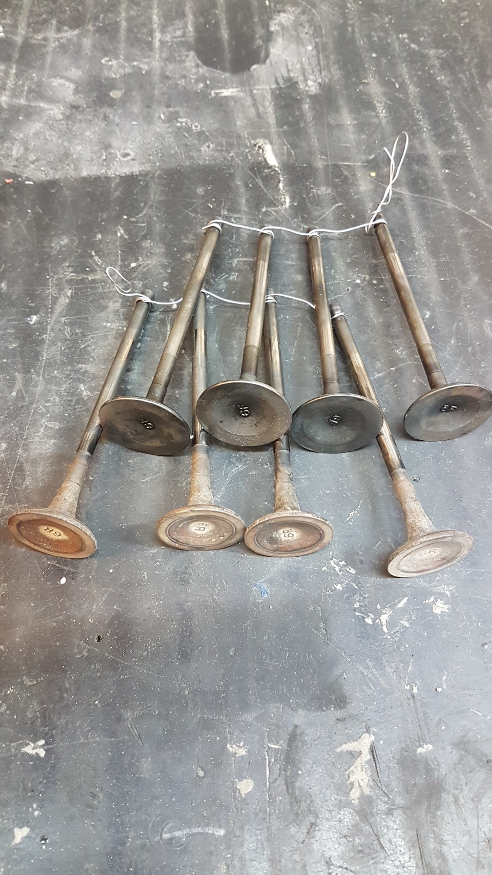 Фото в бортжурнале Great Wall Hover