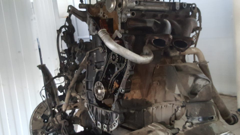 ЗАМЕНА ЦЕПИ ГРМ У ОФИЦИАЛОВ, СРАНЫЕ ВАНУСЫ СДОХЛИ, печаль печальная ...