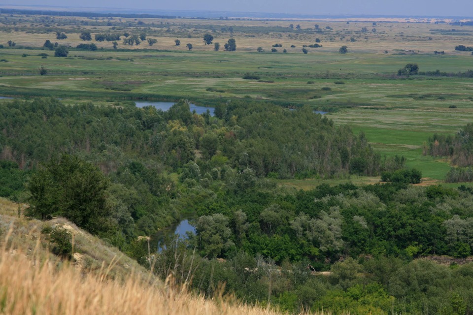 Хутор алексеевский