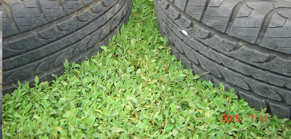 Бортировка колес, поиск возможных причин тяги автомобиля в бок ...