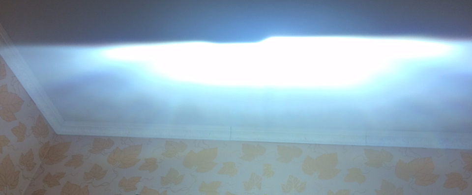 Hella intemo + новая лампа — Volkswagen Passat Variant (B6)