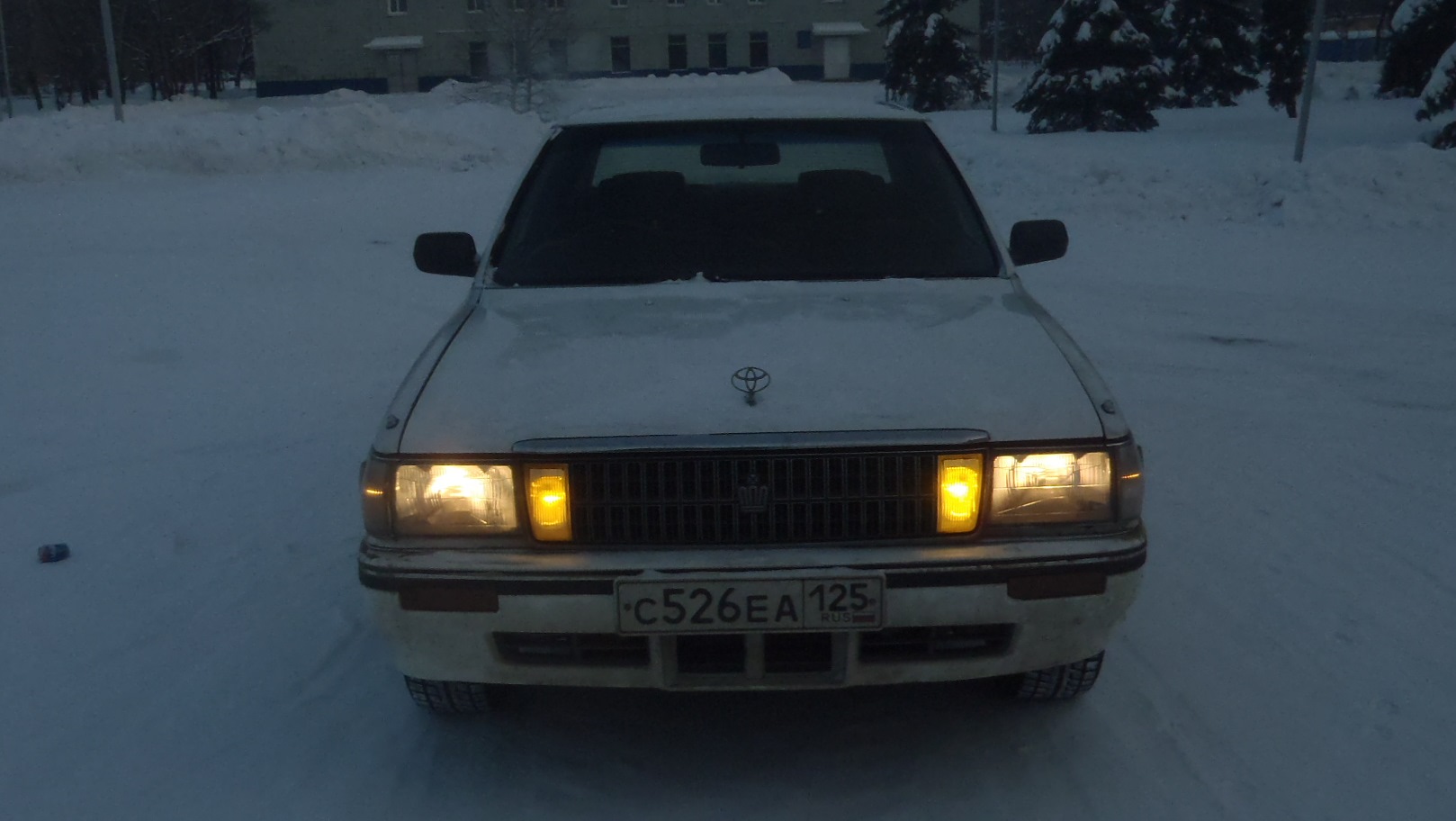 Toyota Crown (S130) 2.0 бензиновый 1990 | Гремучая змея на DRIVE2