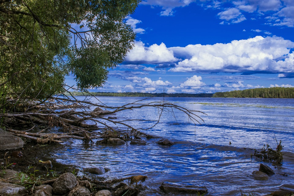 Кашин на выходные — Subaru Impreza (GC, GF), 2 л, 1999 года ...