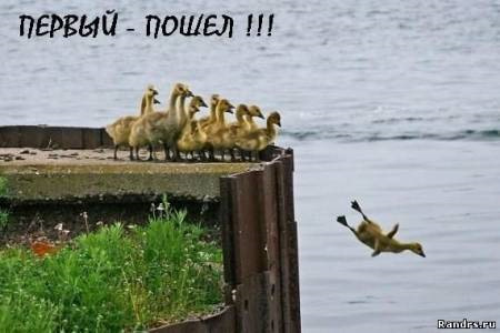 Нардепов Скороход и Полякова исключили из фракции "Слуги народа" - Цензор.НЕТ 3733