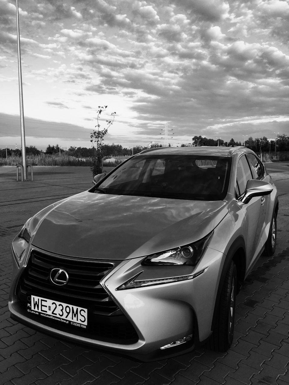 Уже есть! Первые 200 км. Впечатления — Lexus NX (1G), 2 л, 2015 года |  покупка машины | DRIVE2