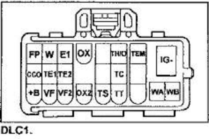 Фото в бортжурнале Toyota Sprinter Carib (111)