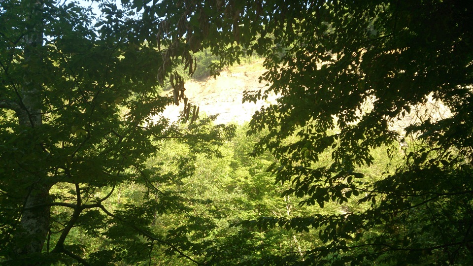 Запись от 6 февраля 20:12 — УАЗ 469, 2,4 л., 1973 года | покатушки | DRIVE2