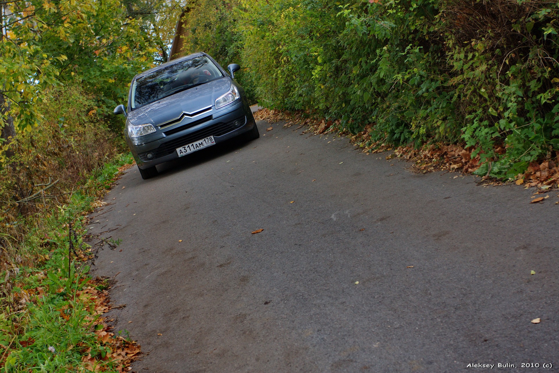 ОСЕННИЕ ЛИСТЬЯ КРУЖАТЬСЯ И ПАДАЮТ… — Citroen C4 (1G), 1,6 л, 2007 года |  фотография | DRIVE2