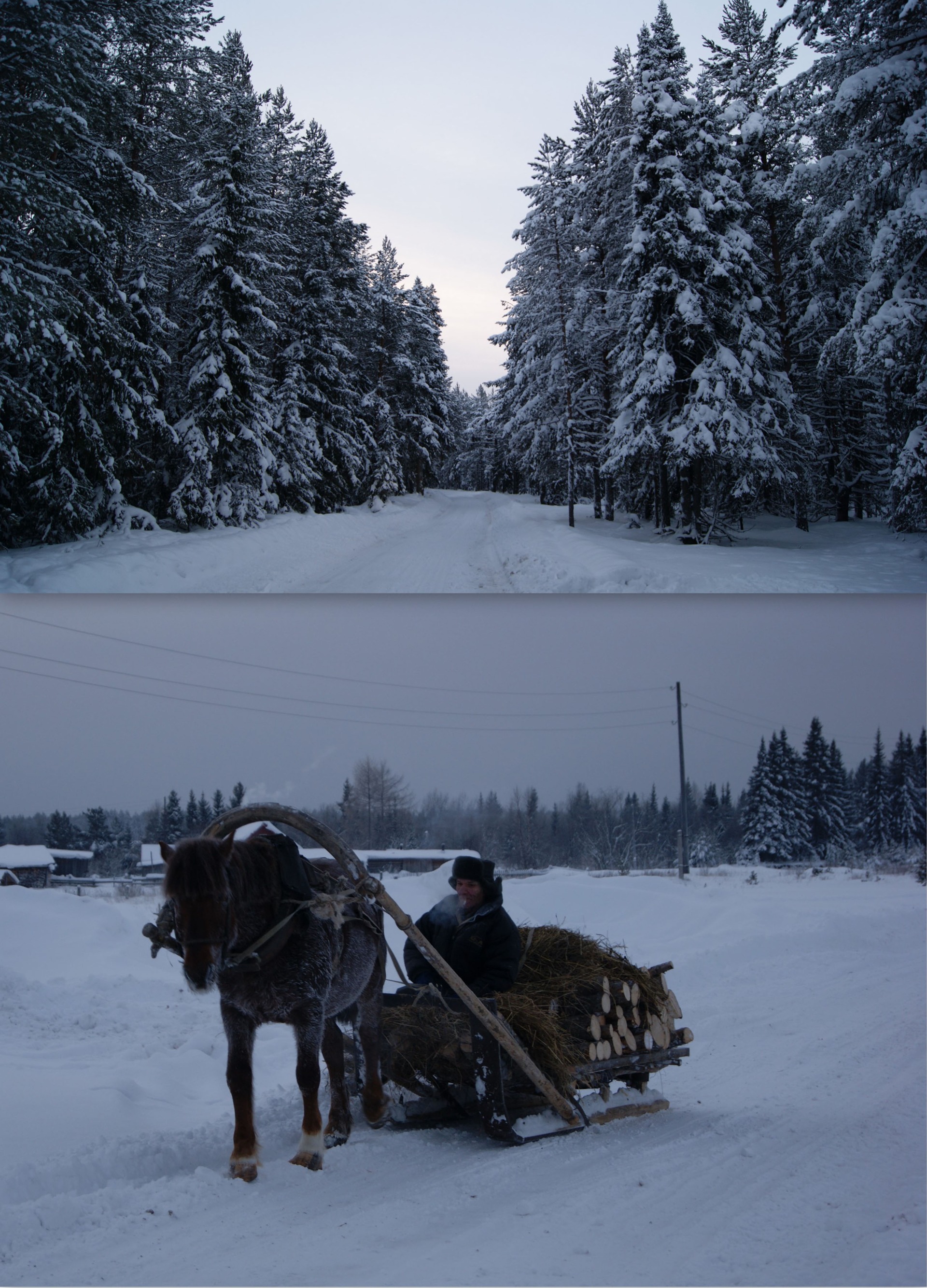 Русский Север — Архангельская область. Зима 2011. Часть 2. — DRIVE2