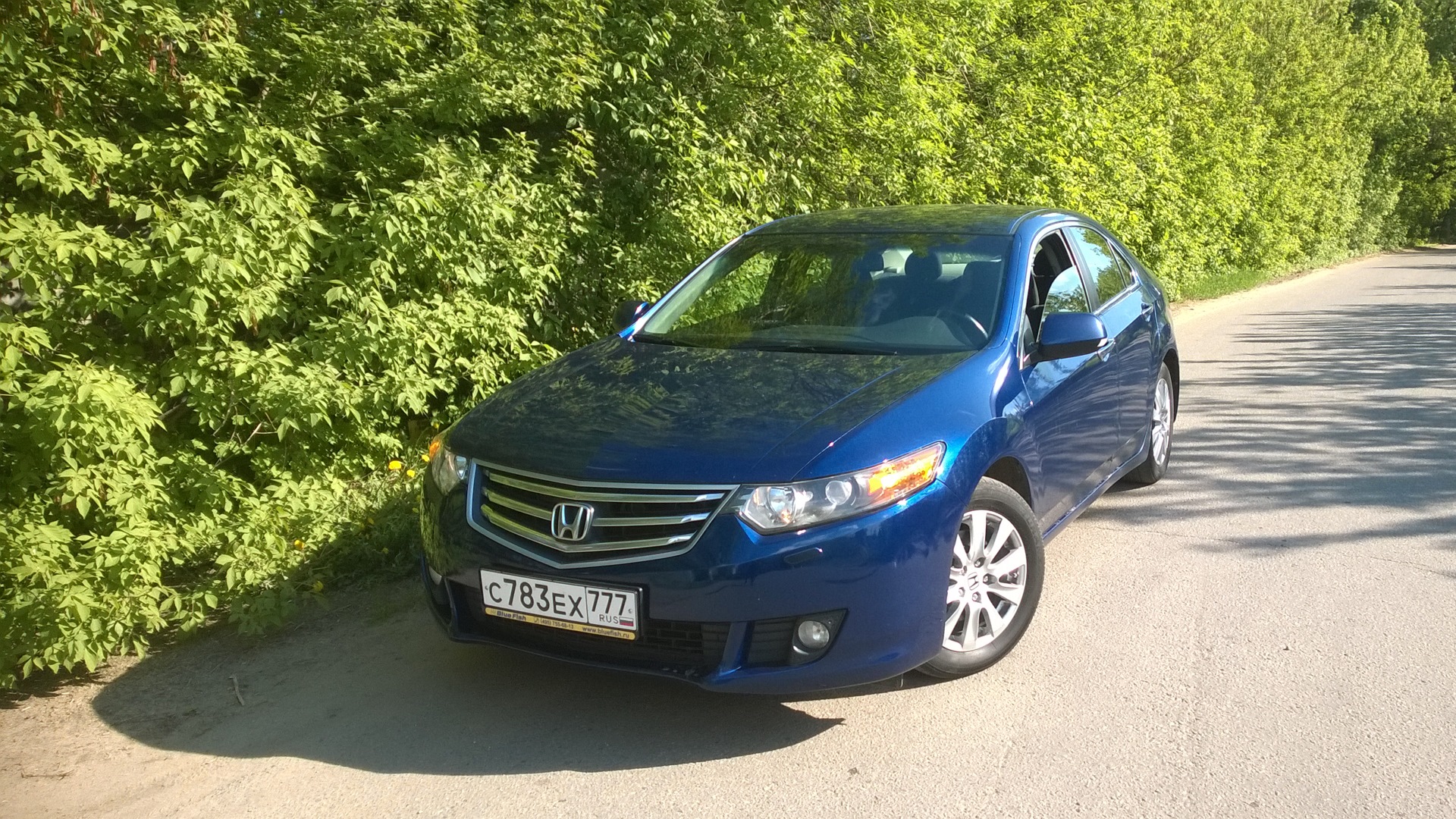 Honda Accord (8G) 2.0 бензиновый 2008 | sex на DRIVE2