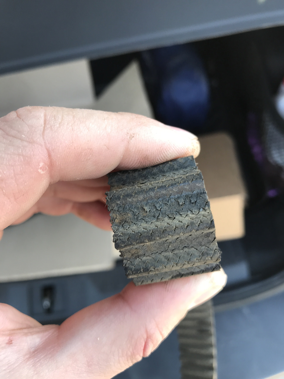 Ремень в принципе ещё живой. Думаю дотерпел бы — Ford Kuga (2G)