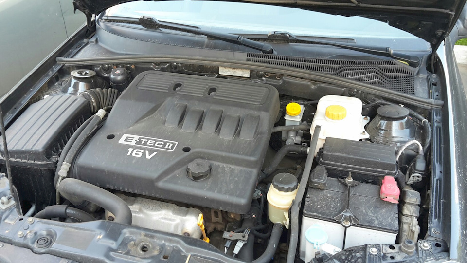 Колпак переднего амортизатора — Chevrolet Lacetti Sedan, 1,4 л, 2009 ...