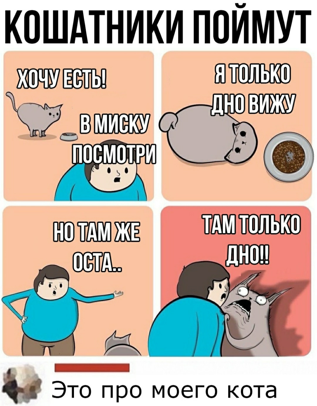Блестящие там только там. Блестящие там только там. Стейси круз порноактриса. Цитаты про книги. Давай к нам.