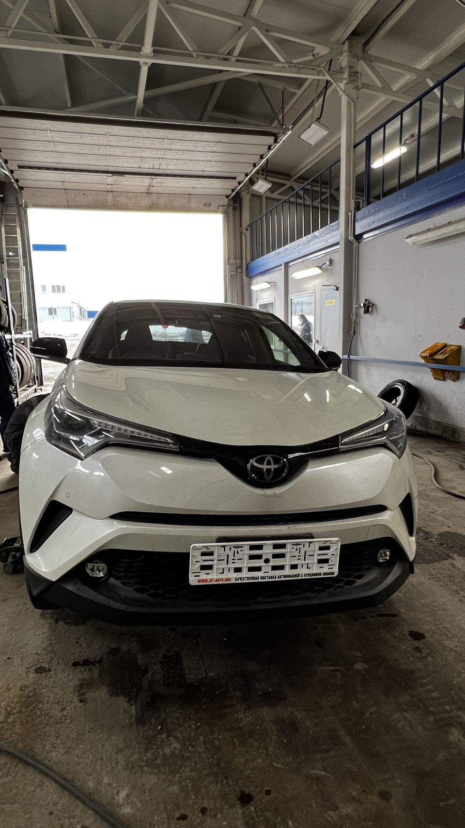 Toyota C-HR из Японии! — Toyota C-HR, 1,2 л, 2019 года | покупка машины |  DRIVE2