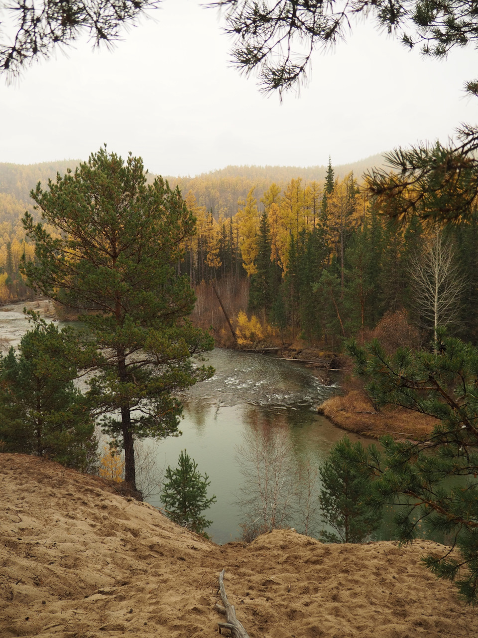Для меня было открытие — буря я и природа. Леса, горы, реки, еда, люди. Очень красивый регион. — Suzuki Alto (8G)