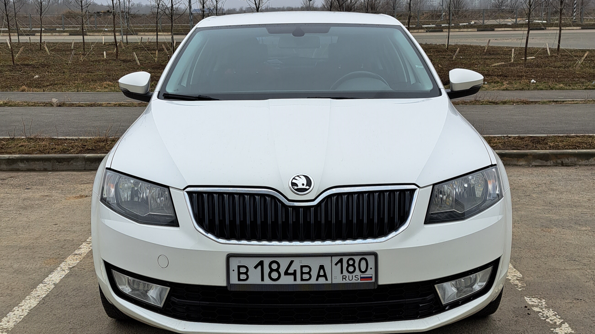 Skoda Octavia A7 Mk3 2.0 дизельный 2013 | Большая белая акула!:))) на DRIVE2