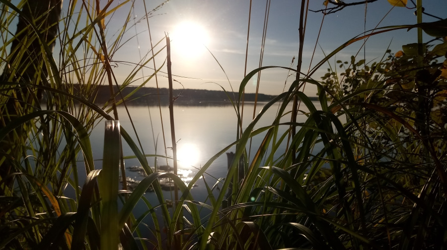 какая рыба водится в рубском озере ивановской области. Смотреть фото какая рыба водится в рубском озере ивановской области. Смотреть картинку какая рыба водится в рубском озере ивановской области. Картинка про какая рыба водится в рубском озере ивановской области. Фото какая рыба водится в рубском озере ивановской области