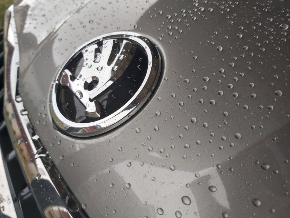 Бронепленка на капоте — Skoda Rapid (2G), 1,4 л, 2021 года | аксессуары ...