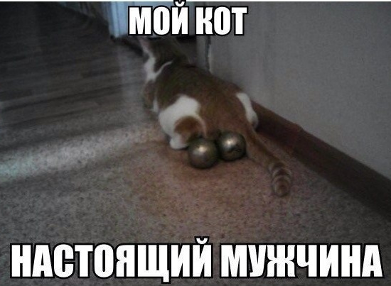 Мемы про маты