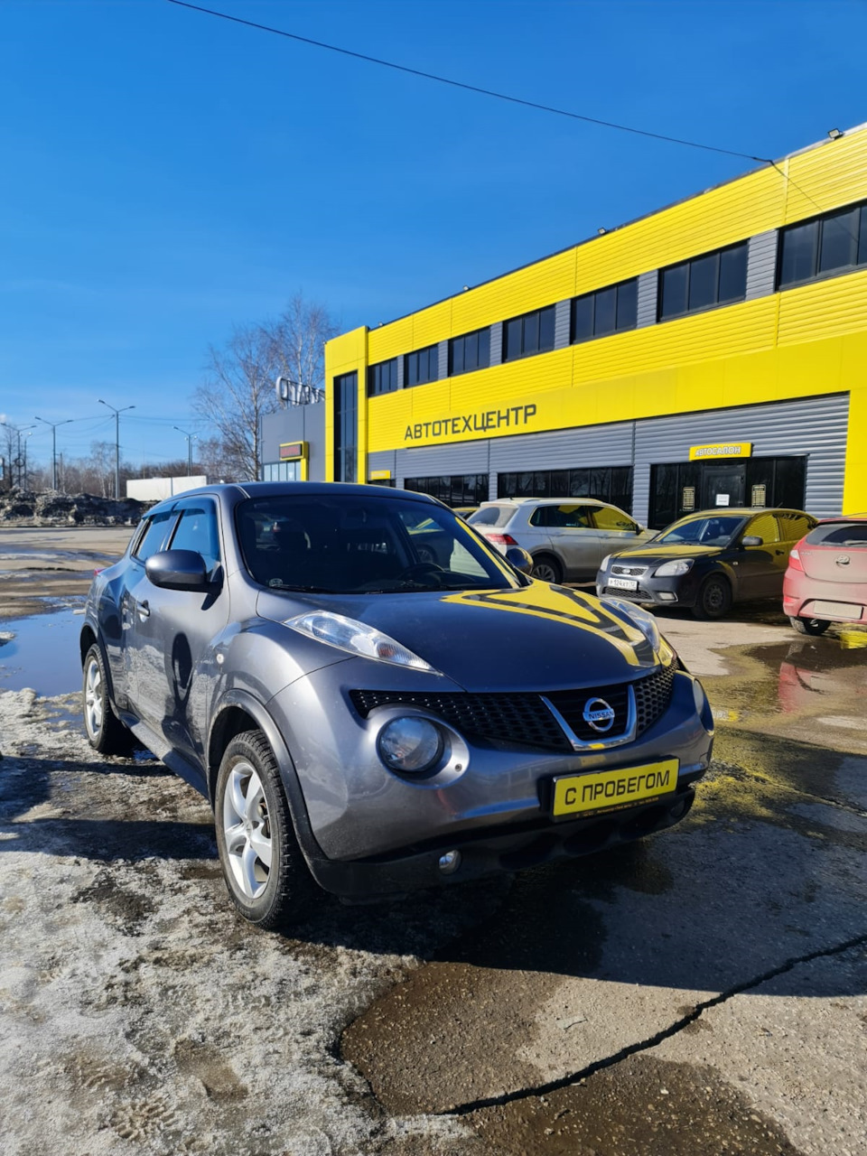 Ну что, принимайте в семью жуководов ) — Nissan Juke (1G), 1,6 л, 2013 года  | покупка машины | DRIVE2