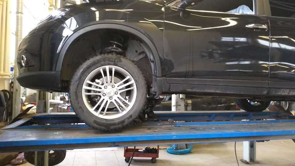 Лиса рулит подержанные авто ниссан х трейл. Смотреть фото Лиса рулит подержанные авто ниссан х трейл. Смотреть картинку Лиса рулит подержанные авто ниссан х трейл. Картинка про Лиса рулит подержанные авто ниссан х трейл. Фото Лиса рулит подержанные авто ниссан х трейл