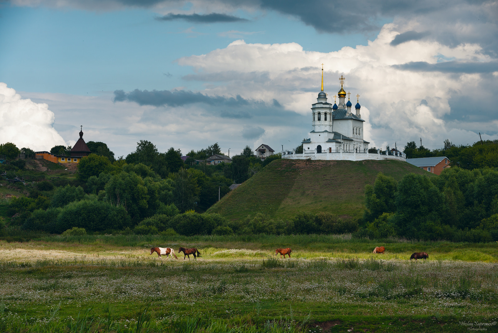 Куликово поле пол. Куликово поле ландшафт. Тульская область Куликово поле природа. Ландшафт Тульской области. Куликово поле пейзаж сверху.