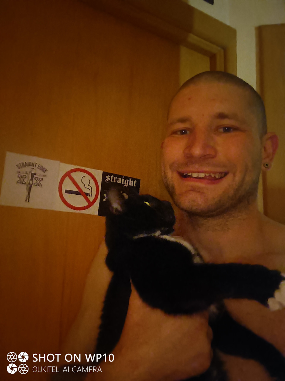 Счастье нельзя купить? А кошку-запросто — Сообщество «Зверьё Моё» на DRIVE2