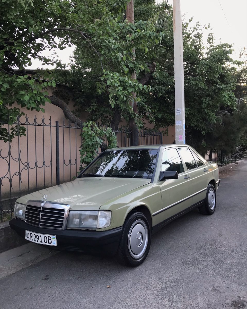 Князь в грязи. Новости, хорошие и не очень. — Mercedes-Benz 190 (W201), 2  л, 1982 года | своими руками | DRIVE2