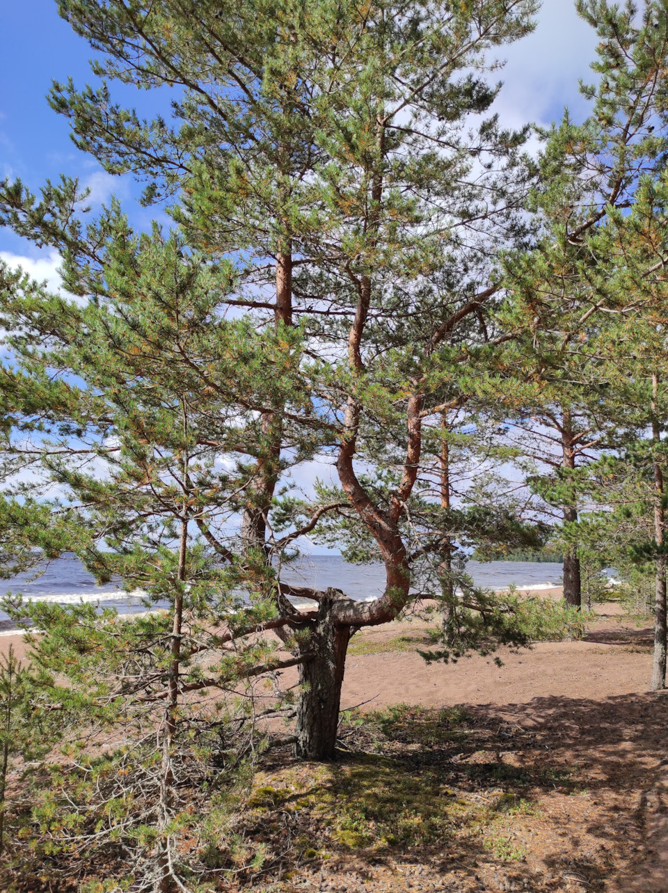 Фото в бортжурнале Nissan Patrol GR II (Y61)