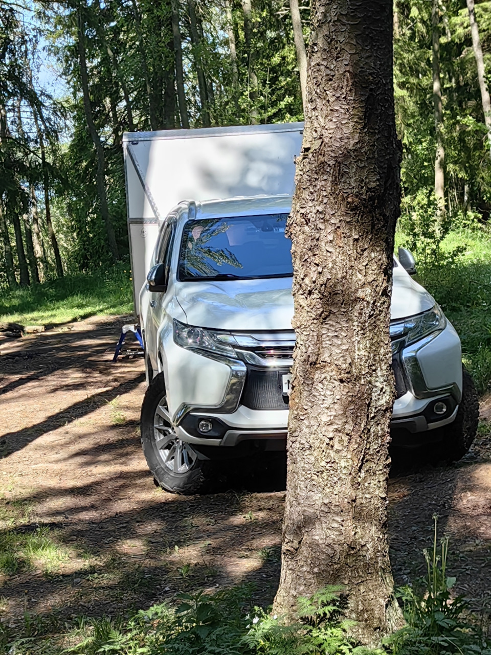 Кургальский полуостров, прогулка пешком 11 километров — Mitsubishi Pajero  Sport (3G), 2,4 л, 2018 года | покатушки | DRIVE2